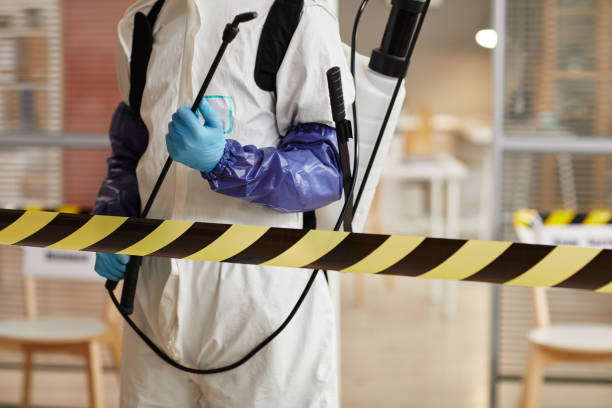 Professional Sewage Cleanup technician working in Preston, MN